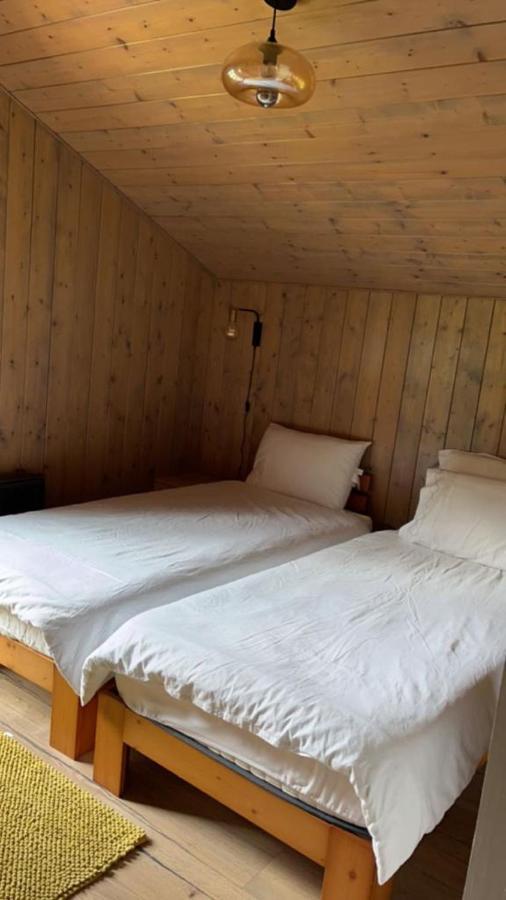 Chalet Luxueux Chatel Luaran gambar
