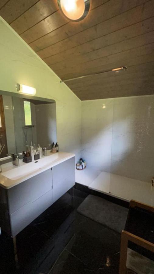Chalet Luxueux Chatel Luaran gambar