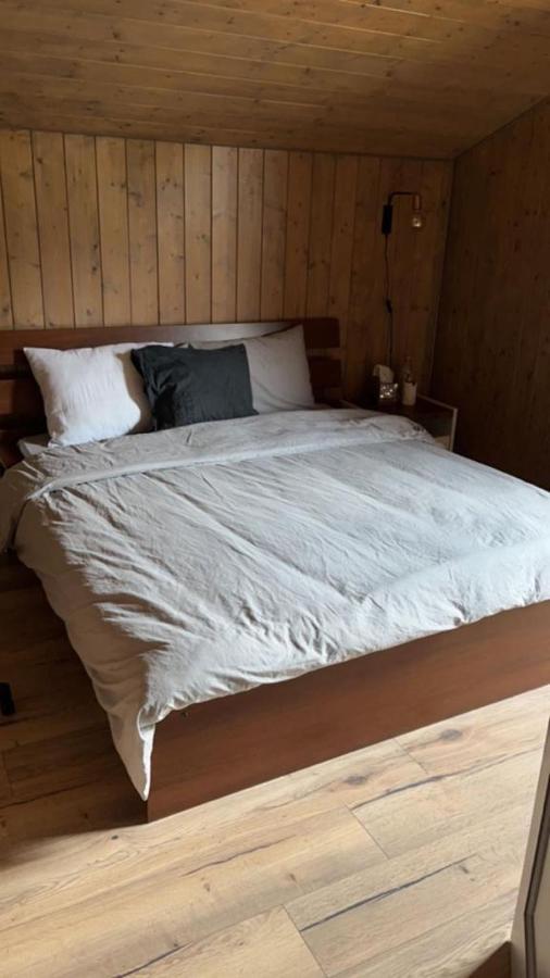 Chalet Luxueux Chatel Luaran gambar